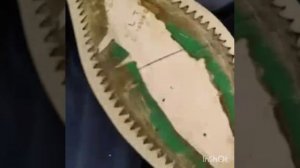 Реанимация Testoni