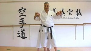 Chinte Bunkai Strategies 2022 week 44 koryu karate oyo jutsu