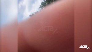 Мужчина приставал к школьницам на улице в России