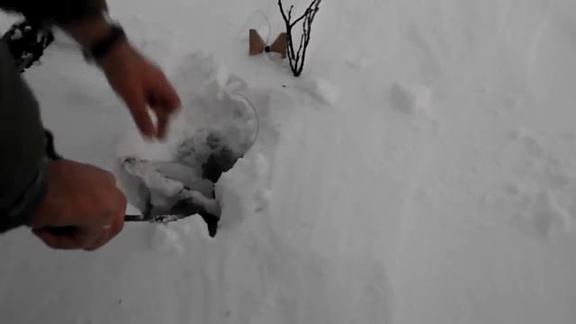 Налимы смотреть онлайн