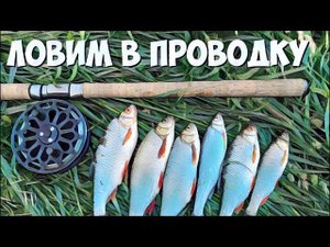 Ловим в проводку.