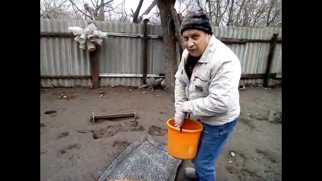 Чем кормлю КУР НЕСУШЕК зимой