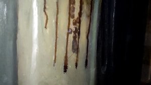 Мироточит икона