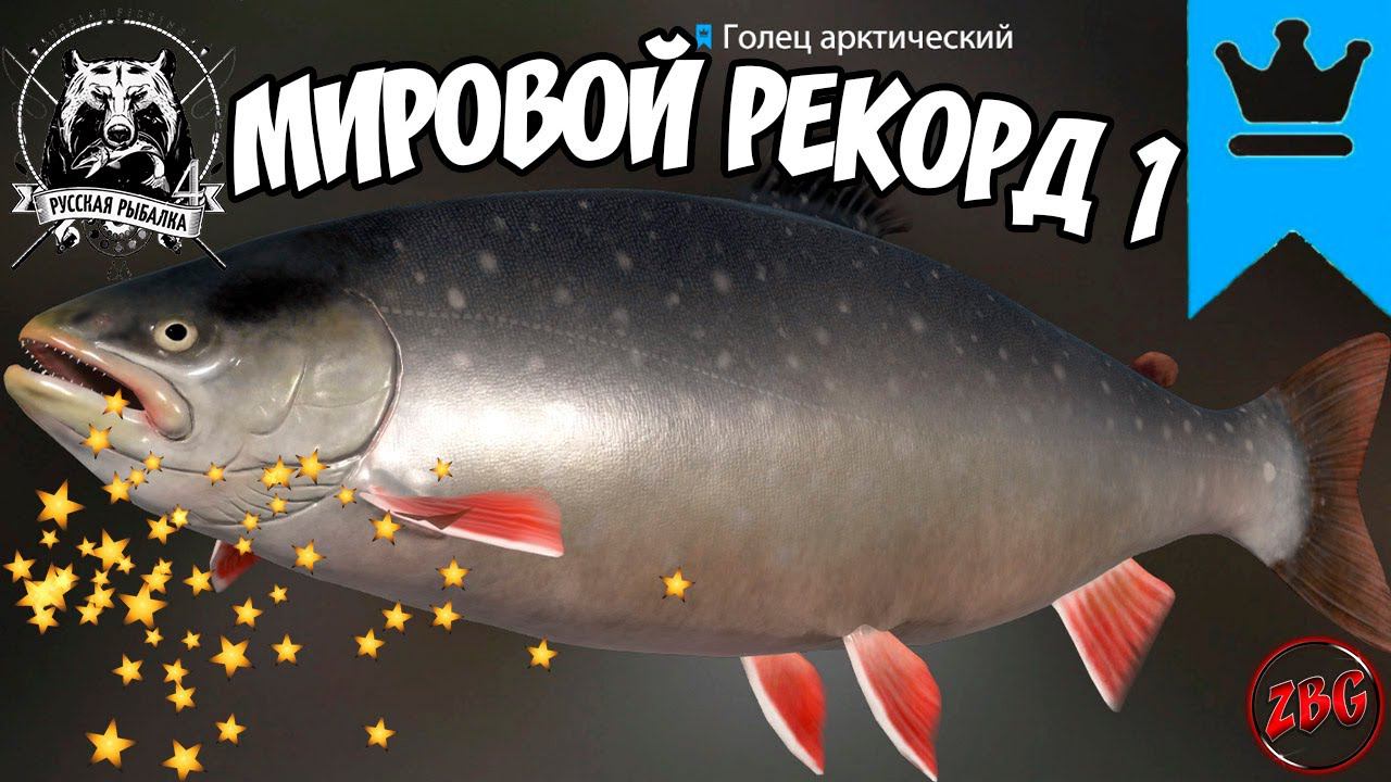 ГОЛЕЦ АРКТИЧЕСКИЙ СИНИЙ ТРОФ ТУНГУСКА АБСОЛЮТНЫЙ МИРОВОЙ РЕКОРД №1 ⭐ РУССКАЯ РЫБАЛКА 4