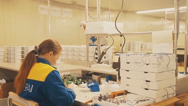 Компания ERA смотреть онлайн