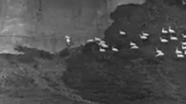 Удивительная история, похожая на сказку 1966 смотреть онлайн