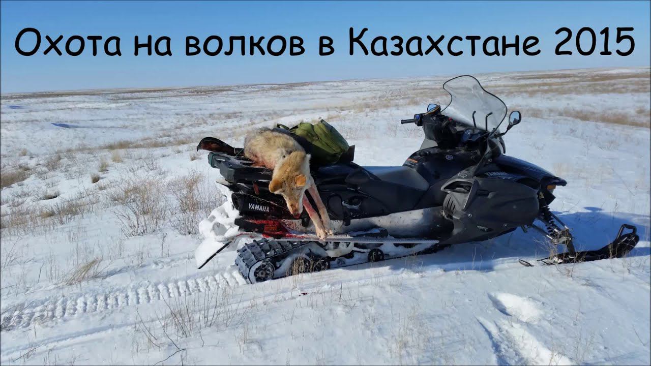 Охота на волков 2015 ( hunting for wolves ) смотреть онлайн