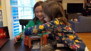 Jurassic World Mini Playset Unboxing with Magnolia & Dahlia