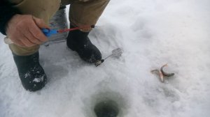 Зимняя рыбалка на окуня.Тестирую мушки