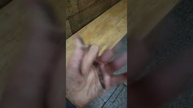 Грязные поручни в метро. Москва.mp4 смотреть онлайн