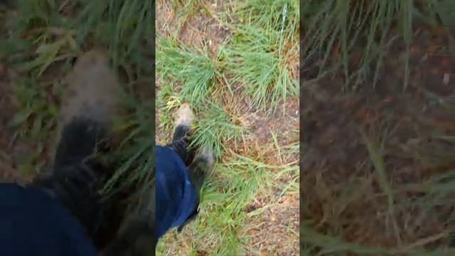 Tall leather boots from freelance in some muddy puddles : PART 1 смотреть онлайн