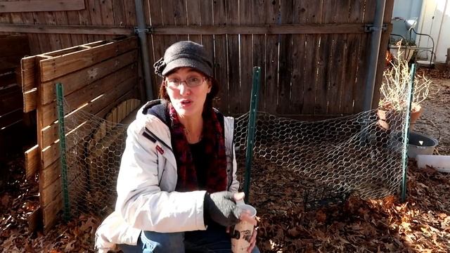 What to do if your rabbits wont breed like rabbits!