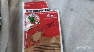 Боремся с паутинным клещём на томатах,бархатцах,тыквах,арбузах и т.д.