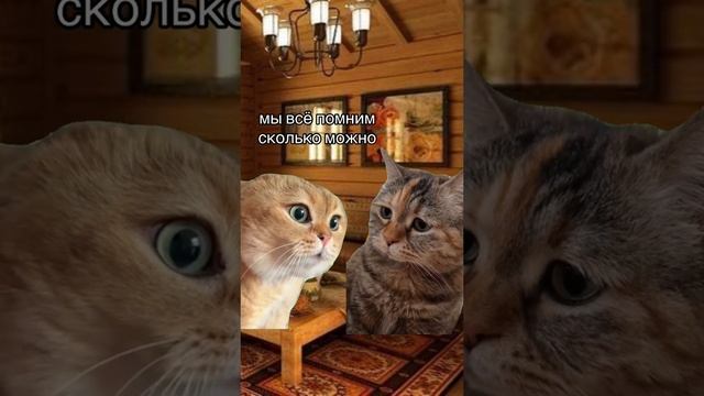 #гаррипотер#юмор#новыйгод#праздники#январь