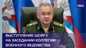 Выступление Шойгу на заседании коллегии военного ведомства