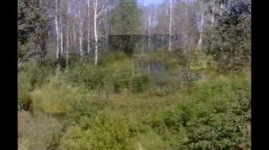 Деревня Кугалки (Большой Кугунур) Тужинский район