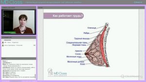 Ответ на вопрос Нужно ли сцеживать молоко после кормления