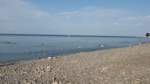 Штиль на море. Пляж санатория Лазаревский. Лазаревское Сочи. 21 августа 2022. Мало гостей на пляже.
