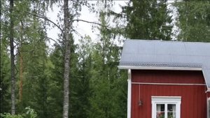 "НОВЕЙШАЯ ИСТОРИЯ ВЕДОВСТВА"  63 серия (автор Наталья Меркулова). Мистика. История на ночь.