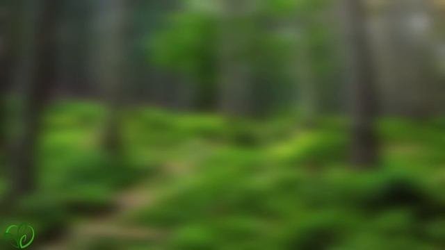 Все ваши заботы исчезнут, если вы послушаете эту музыку? Расслабляющая музыка успокаивает нервы #5