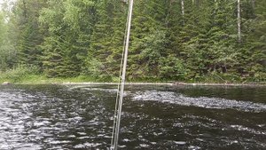 Рыбалка на реке Кумса Карелия