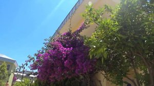 TRANSATLANTIK HOTEL & Spa 5* ТРАНСАТЛАНТИК ОТЕЛЬ Турция Кемер Гёйнюк июнь 2018 : територия отеля