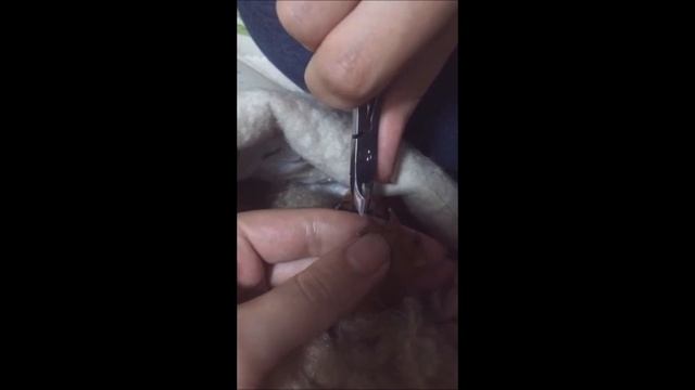 Стрижка когтей белке смотреть онлайн