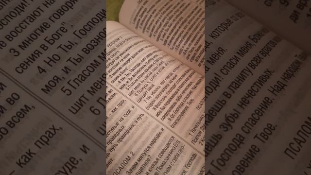 #Библия #СловоБожье                              Библия на каждый день. Псалом 3.
