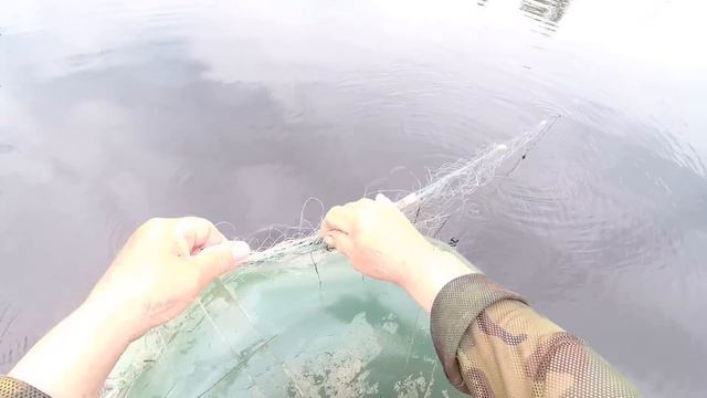 Проверяем сеть на разливе. смотреть онлайн