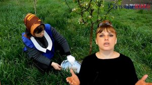 БЕЛИТЬ или НЕ БЕЛИТЬ стволы деревьев – вот в чем вопрос? Побелка деревьев!