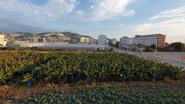 ПЕРВАЯ ЛИНИЯ у моря, Квартира в Махмутлар 1+1,67 500€
