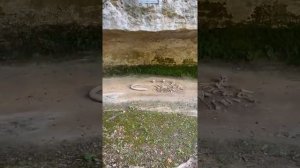 Кроманьонец!  Где нашли кости первого кроманьонца? Путешествие июнь день 11