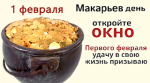 Не пропустите сегодня волшебное чаепитие. Деньги