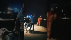 ТЕСТ ОХРАНЫ ПРОВОДНИКА. НЕМЕЦКИЙ ДОГ.