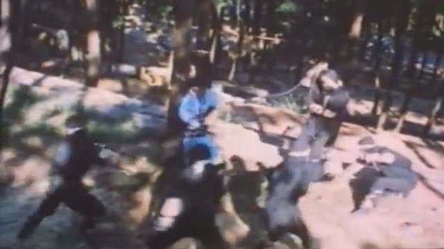 Ниндзя - последняя дуэль   (боевик, ниндза, Шаолинь)