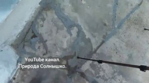 Замазываем трещины в дорожках!