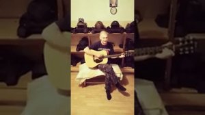 Кавер На песню Трофим "Голуби"
