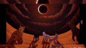 клиновница дикая пума клип