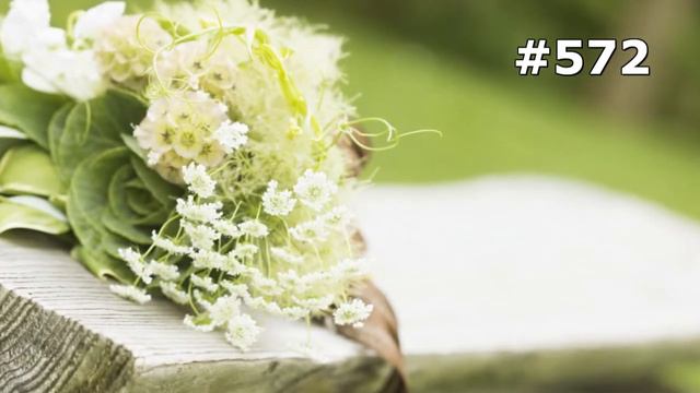 #572. Цветы и растения - самые красивые цветы смотреть онлайн