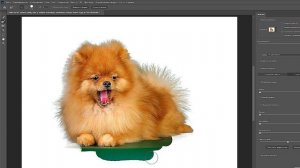 Как быстро вырезать пушистый предмет в Photoshop