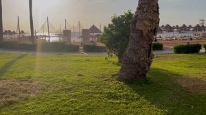 Шарм эль Шейх 2023 | где отдохнуть в Шарме? | рифы, отель, экскурсии, цены | Влог про Египет