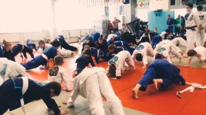 Аттестация в GOJIRA JIU JITSU