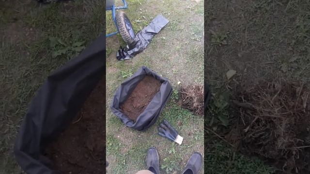 подготовка черве фермы