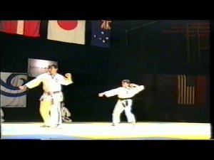 1996 год. Дания. Показательное выступление сборной России по Косики каратэ.