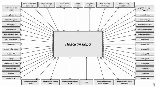 11.23.1 Подробное разъяснение. Поясная кора. Часть первая смотреть онлайн