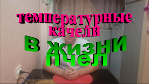 Как отражаются на пчелах температурные качели