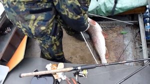 Щюка почти 6 кг