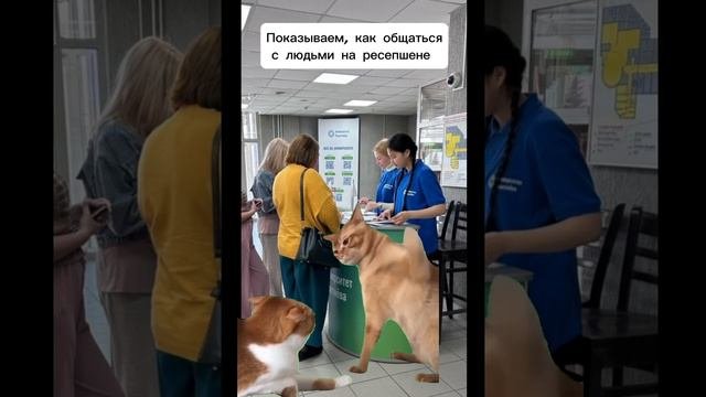 Почему ты еще не с нами? Решайся! ❤

#РСО #ККСО #СО_СибГУ #УниверситетРешетнёва