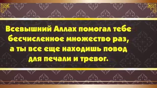Он во всех делах находится в выигрыше | islamdag.ru смотреть онлайн