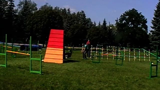 Border collie Extra Zoterhof & Marina Nemchenko - Vice Ukraine Champion смотреть онлайн